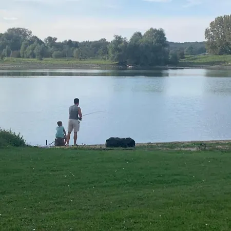 シャレー With Pond View In Gelderland Lathum