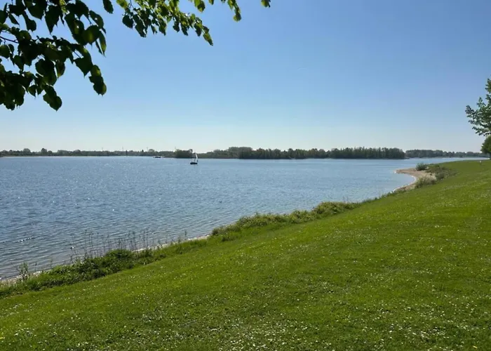 With Pond View In Gelderland Chalet